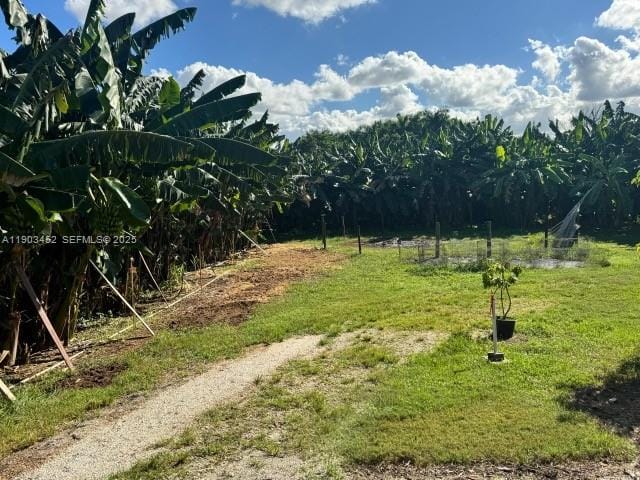 14041 SW 197 Avenue, Miami, FL 33196 photo 14