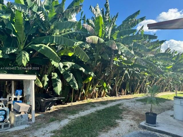 14041 SW 197 Avenue, Miami, FL 33196 photo 17