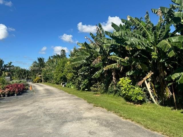 14041 SW 197 Avenue, Miami, FL 33196 photo 18