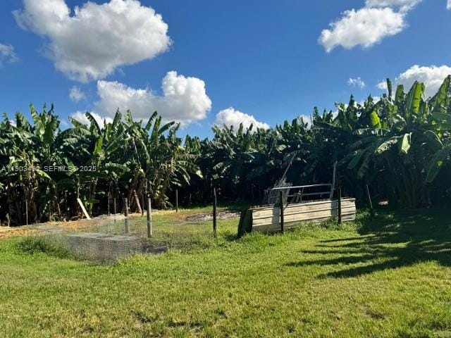 14041 SW 197 Avenue, Miami, FL 33196 photo 7