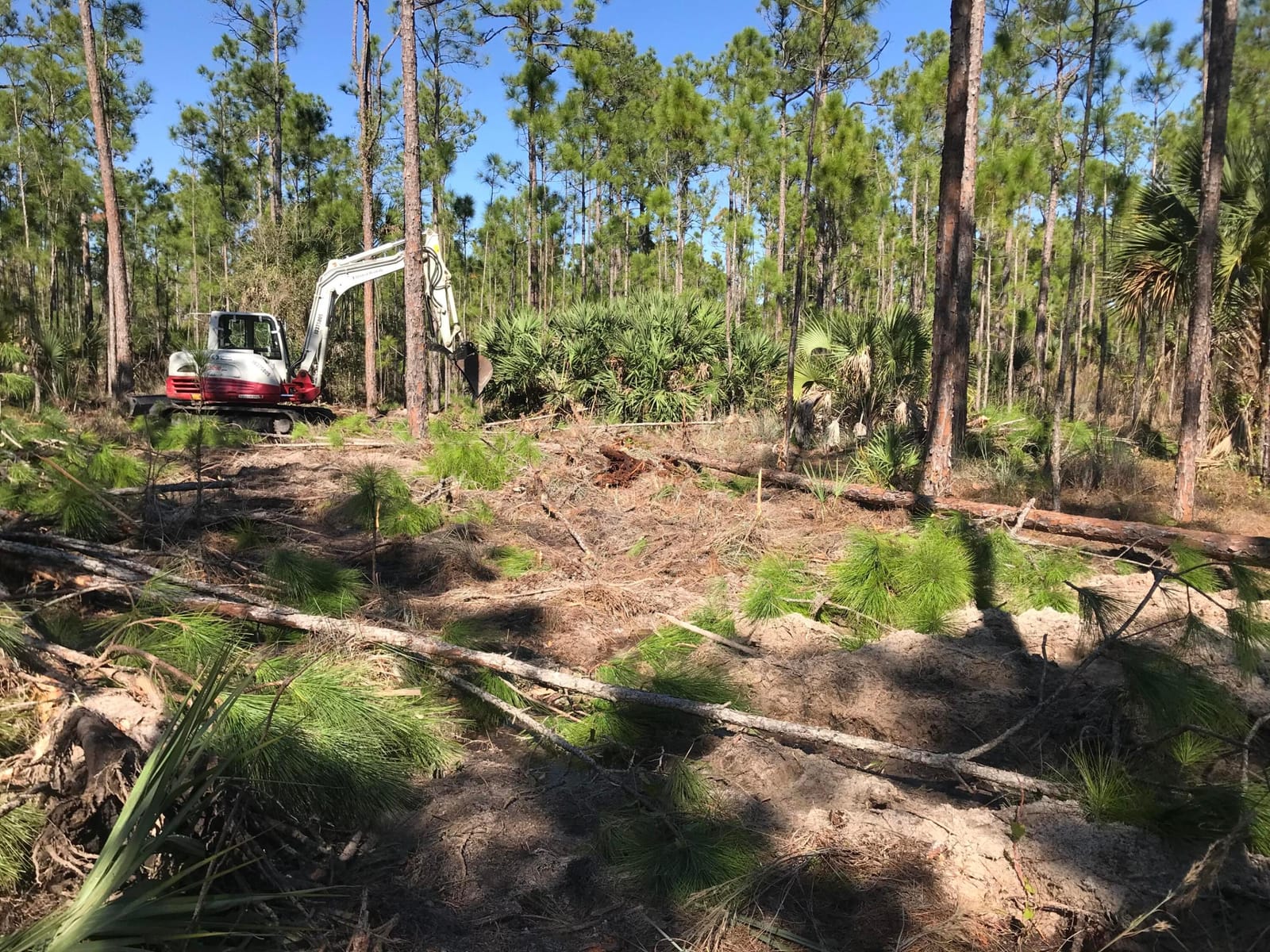 0 County 512 Road, Fellsmere, FL 32948 photo 3