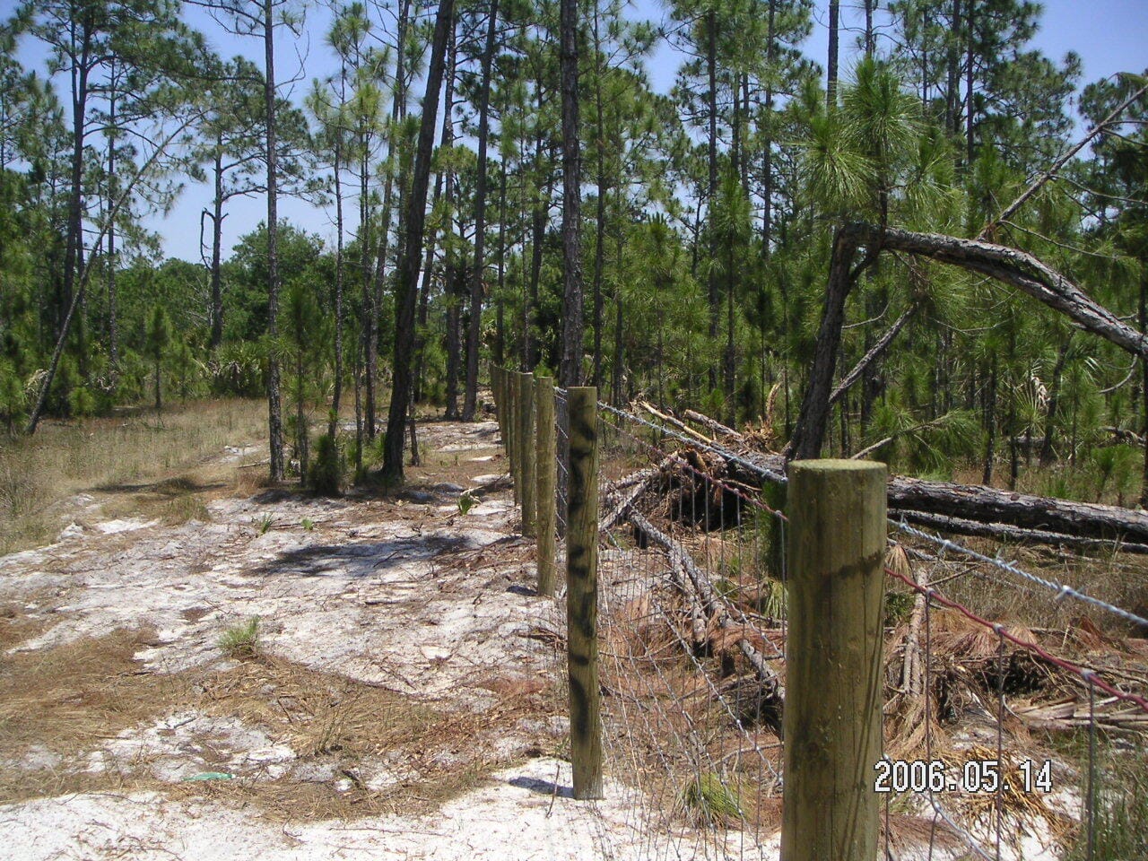 0 County 512 Road, Fellsmere, FL 32948 photo 4
