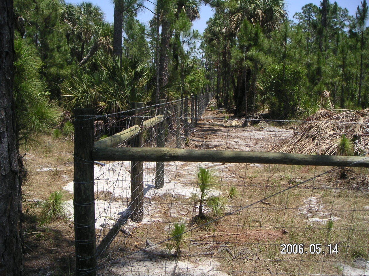 0 County 512 Road, Fellsmere, FL 32948 photo 7