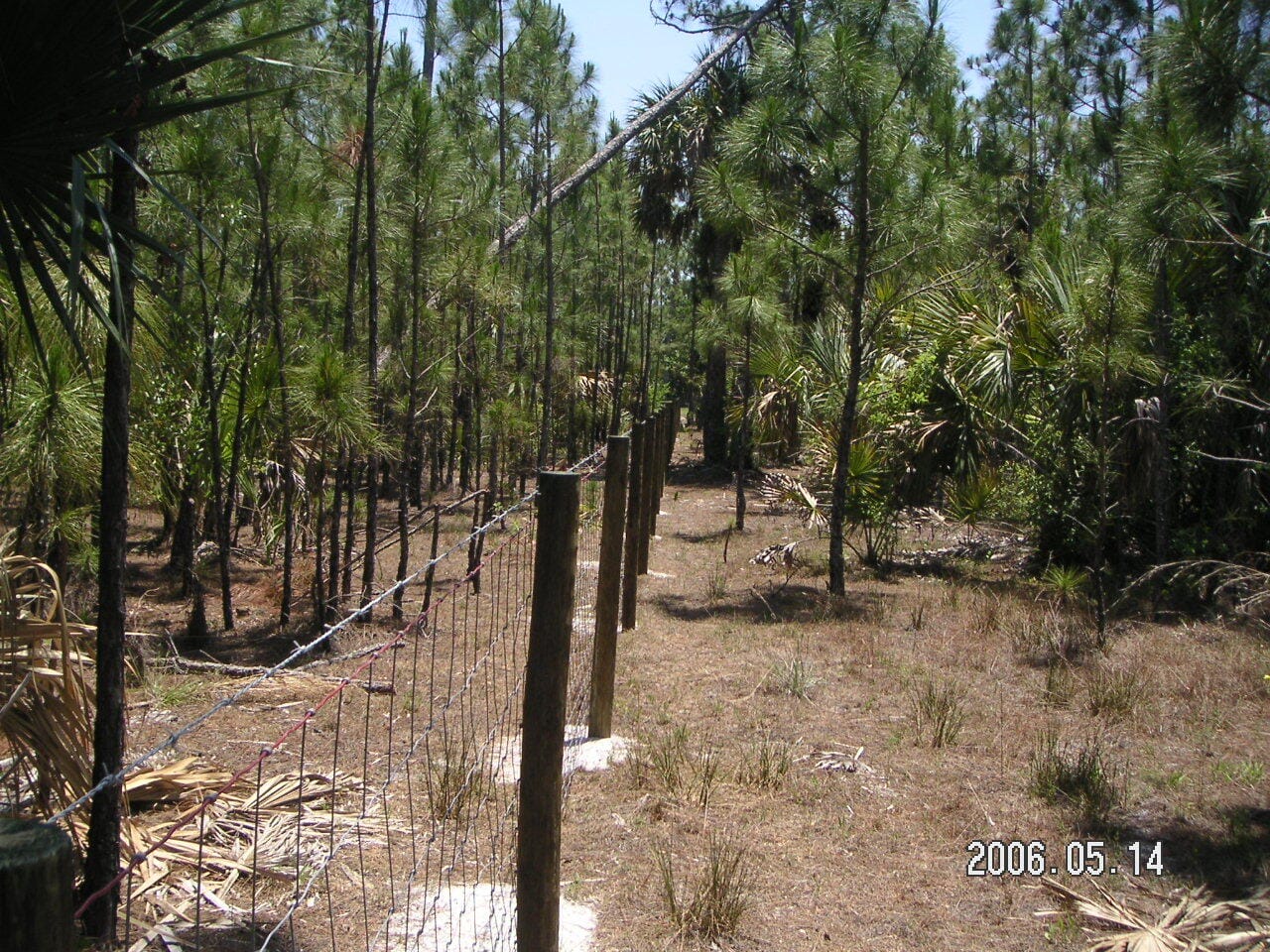 0 County 512 Road, Fellsmere, FL 32948 photo 8