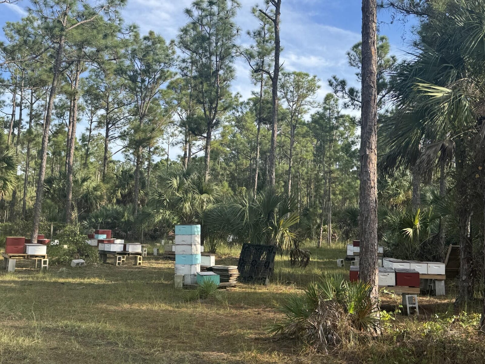 0 County 512 Road, Fellsmere, FL 32948 photo 10