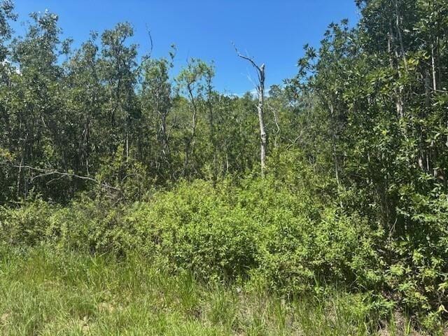 0 Sweet Hill Road — photo 2