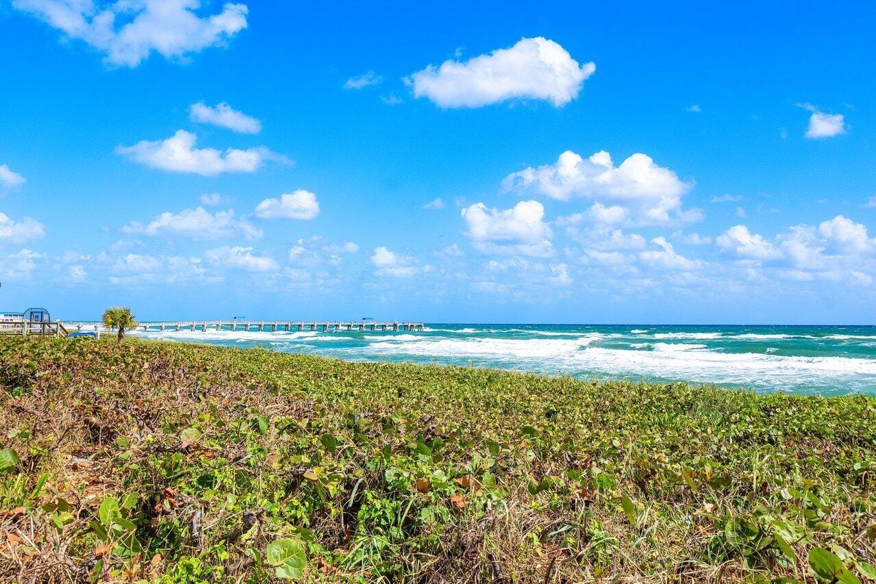 3100 S Ocean Boulevard 105s, Palm Beach, FL 33480 photo 15