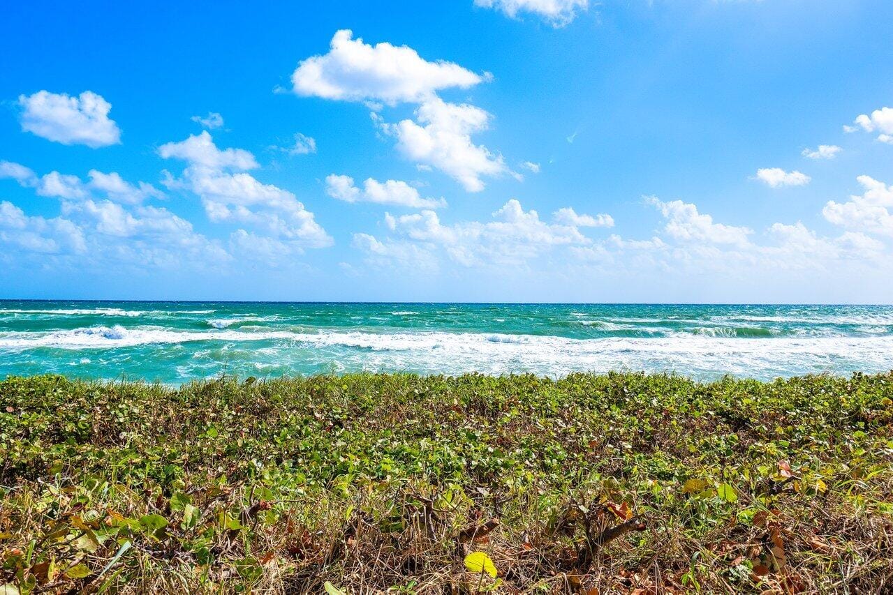 3100 S Ocean Boulevard 105s, Palm Beach, FL 33480 photo 16