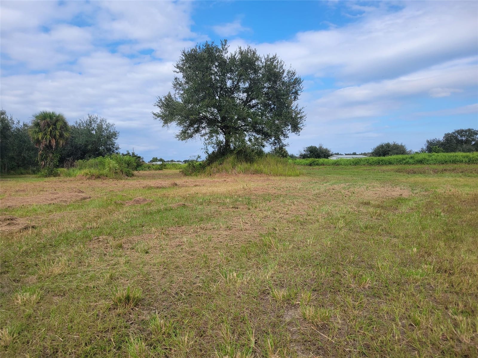15215 NW252nd Street, Okeechobee, FL 34972