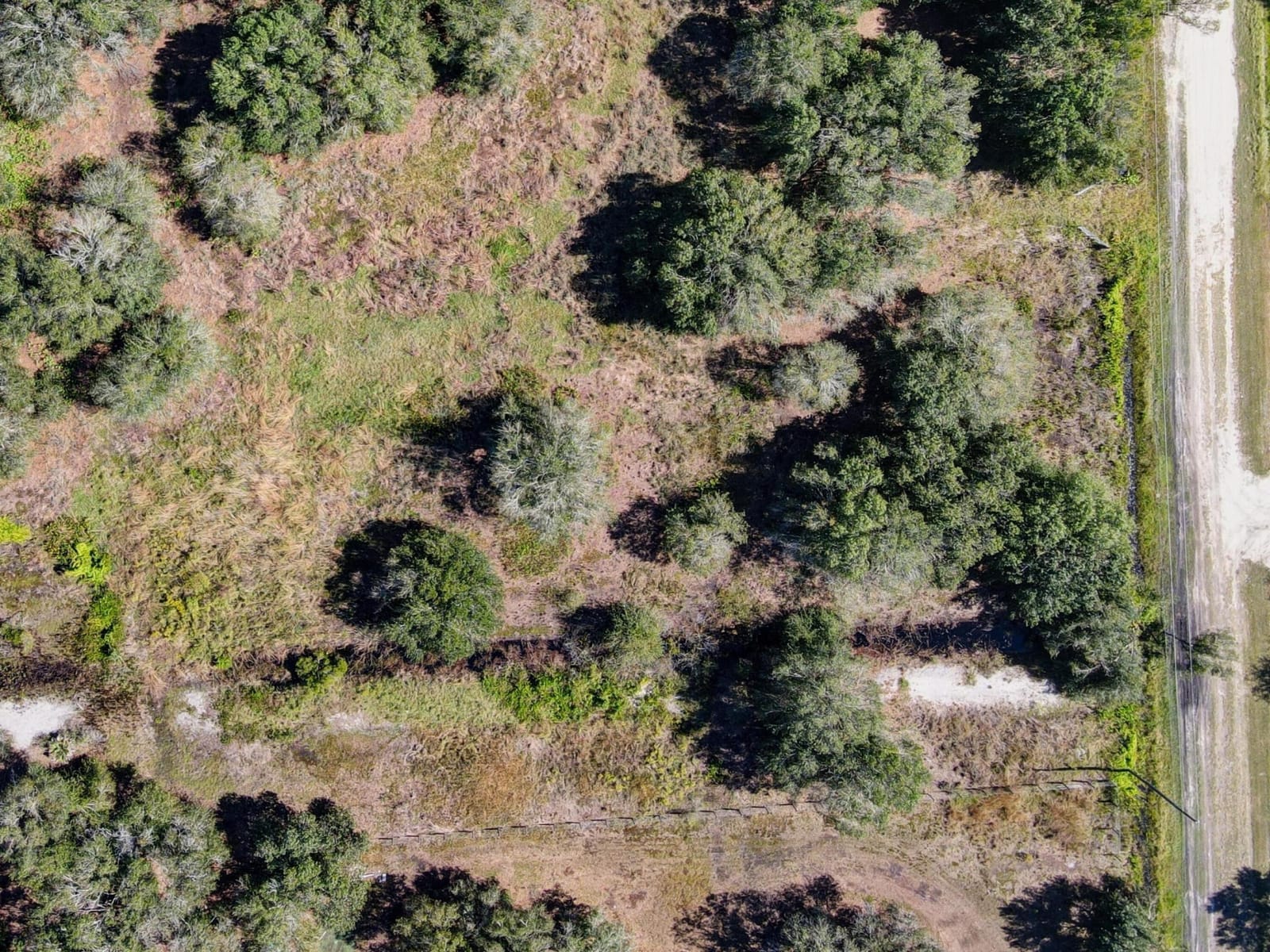 14611 NW 258th Street, Okeechobee, FL 34972 photo 16