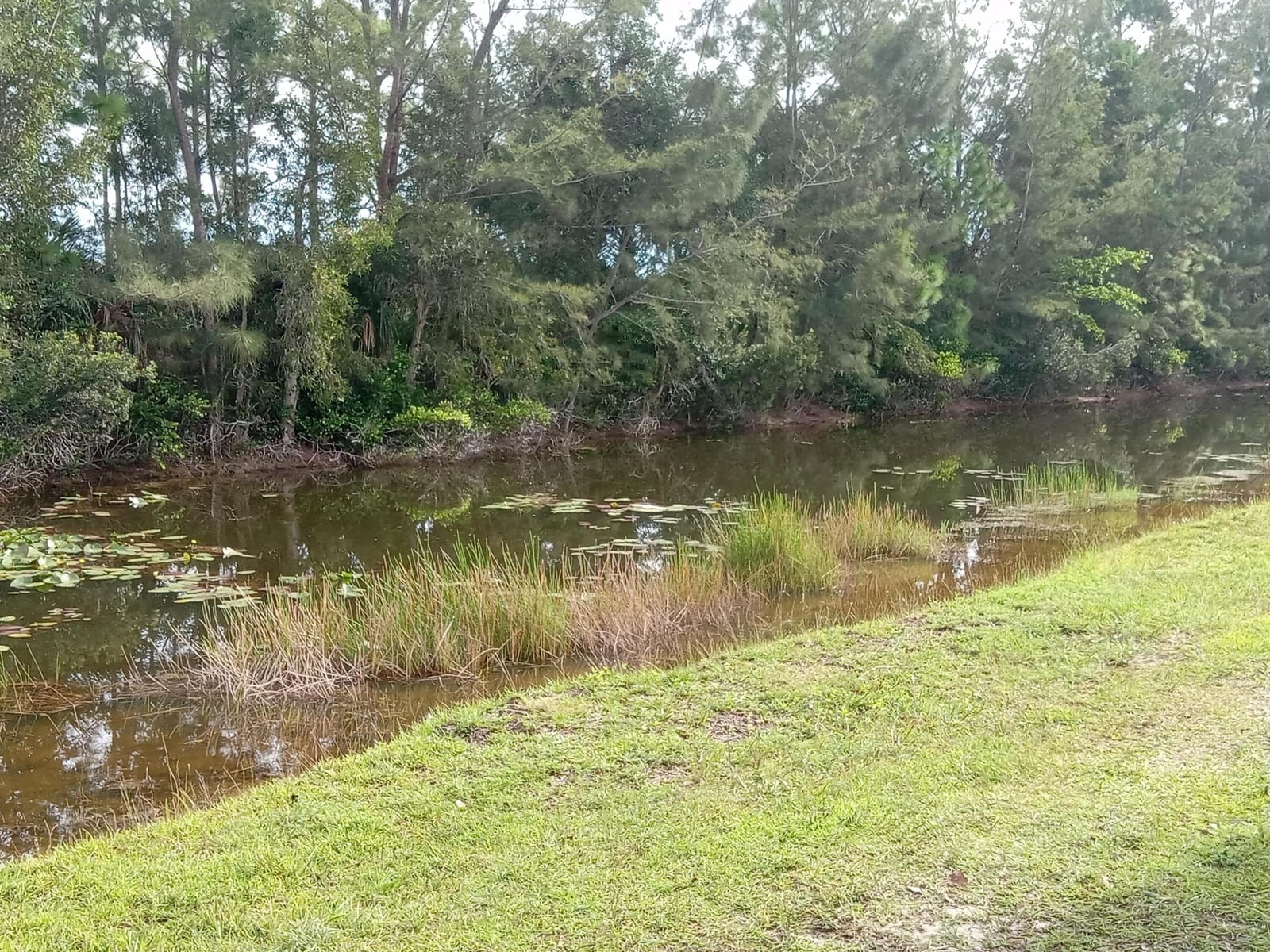 15925 Assembly Loop Loop, Jupiter, FL 33478 photo 7