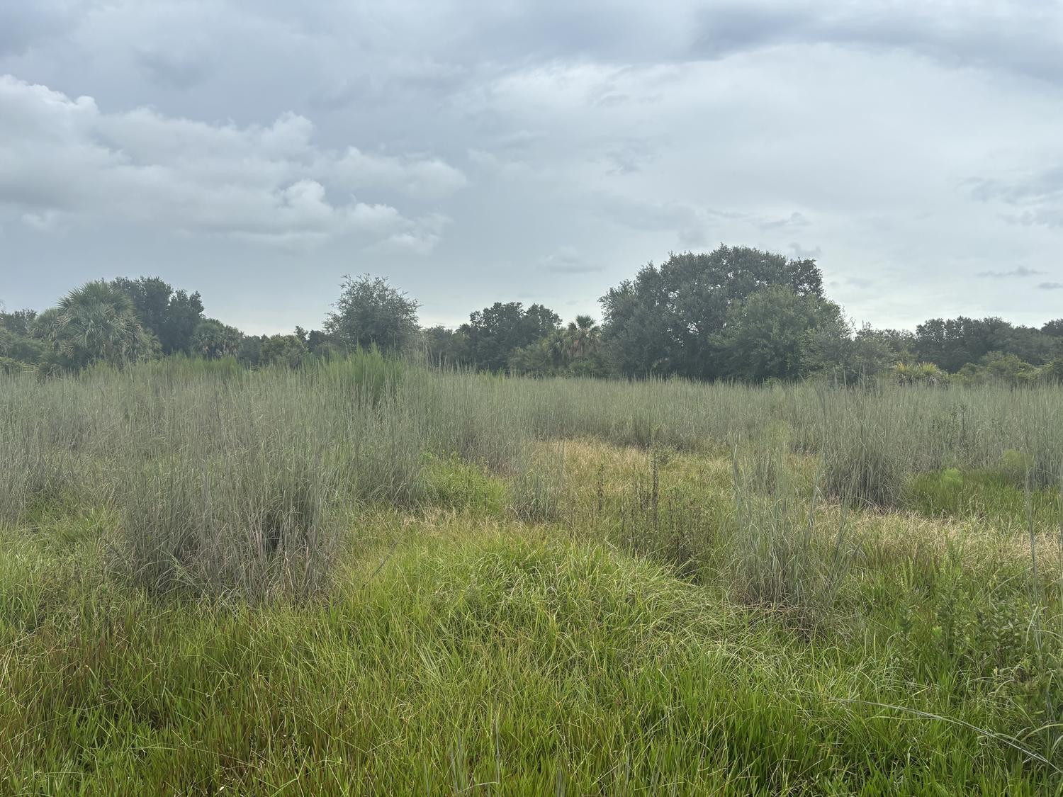 0 294th Street, Okeechobee, FL 34972, Okeechobee