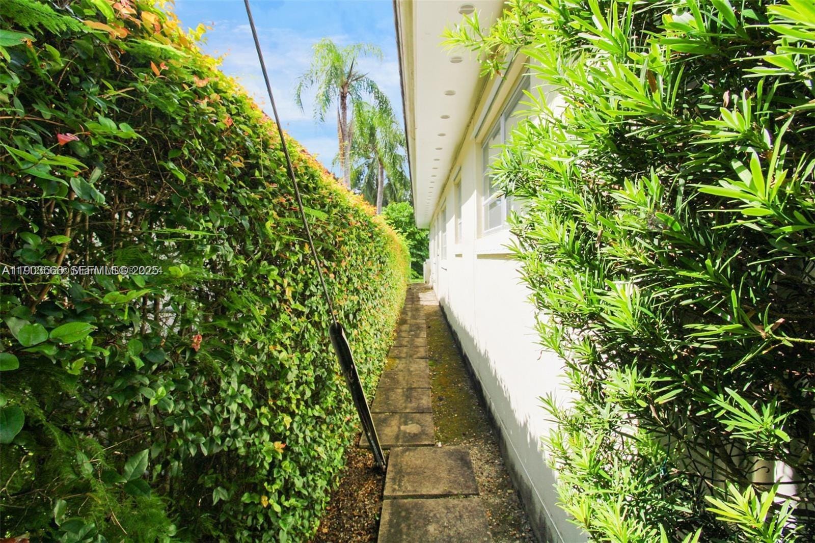 4241 Red Road, Coral Gables, FL 33134 photo 20