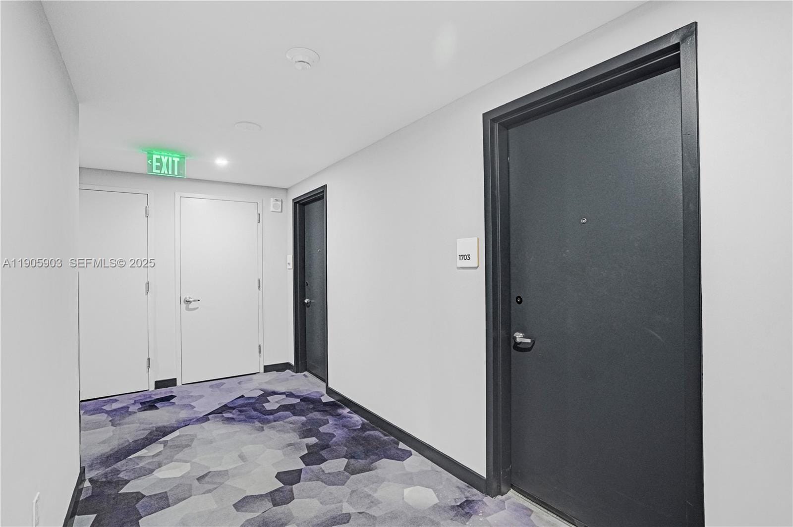 227 NE 2nd Street 1703, Miami, FL 33132 photo 29
