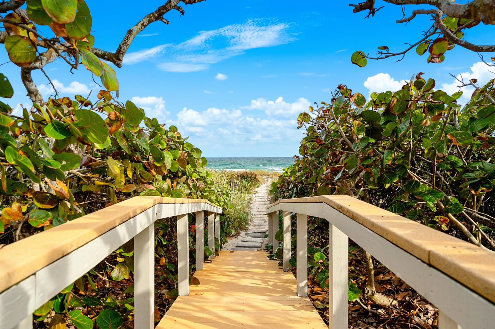 6665 N Ocean Boulevard C3, Ocean Ridge, FL 33435 photo 17