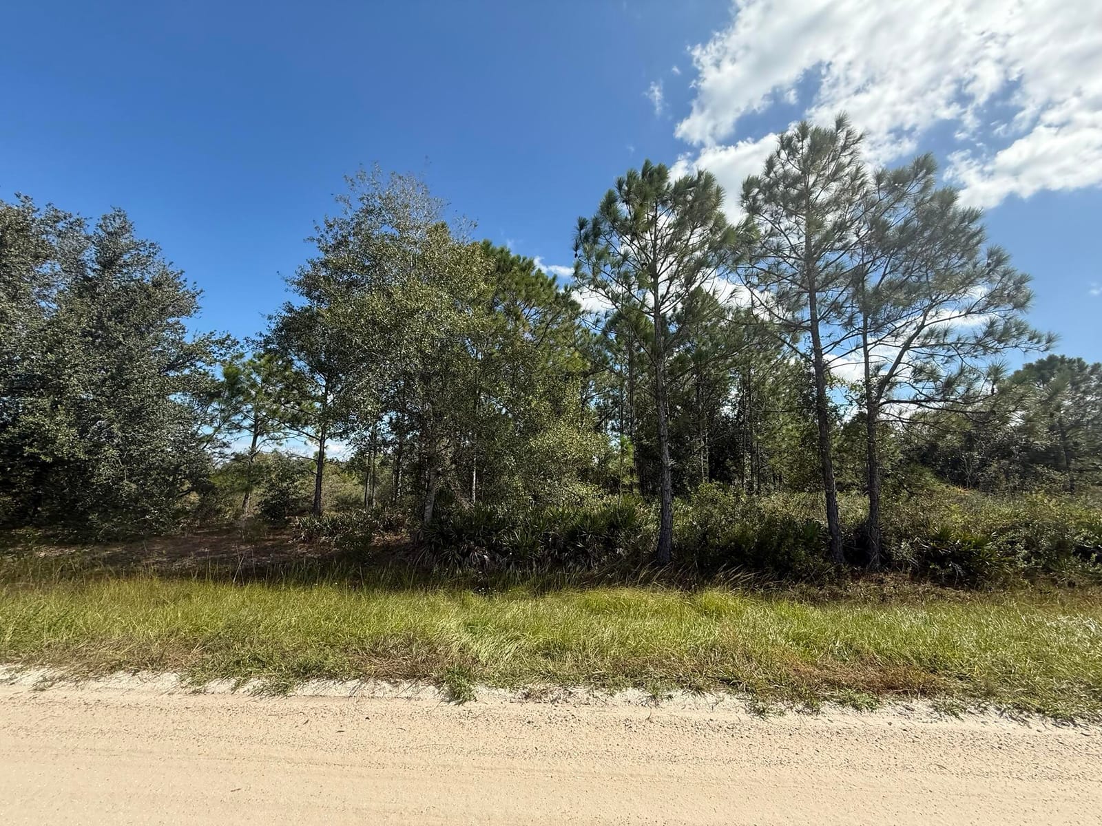 15991 NW 312th Street, Okeechobee, FL 34972