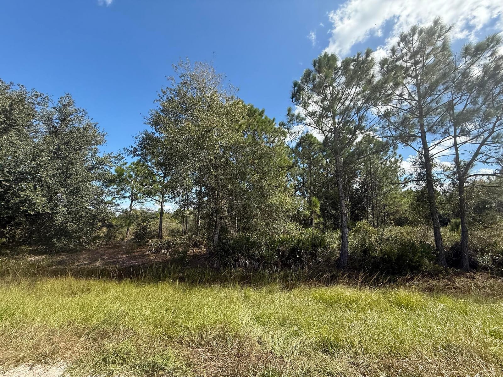 15991 NW 312th Street, Okeechobee, FL 34972 photo 2