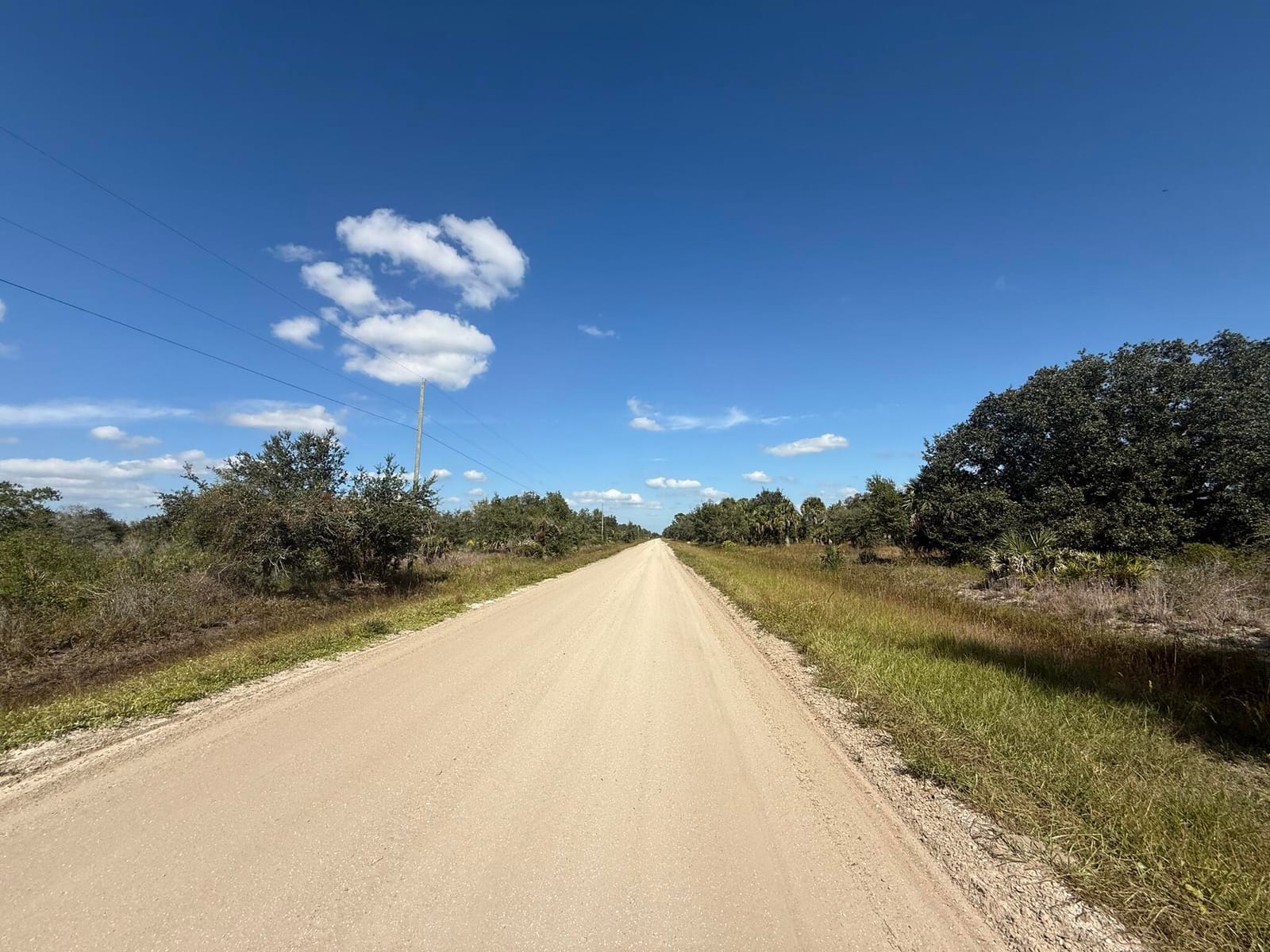15991 NW 312th Street, Okeechobee, FL 34972 photo 3