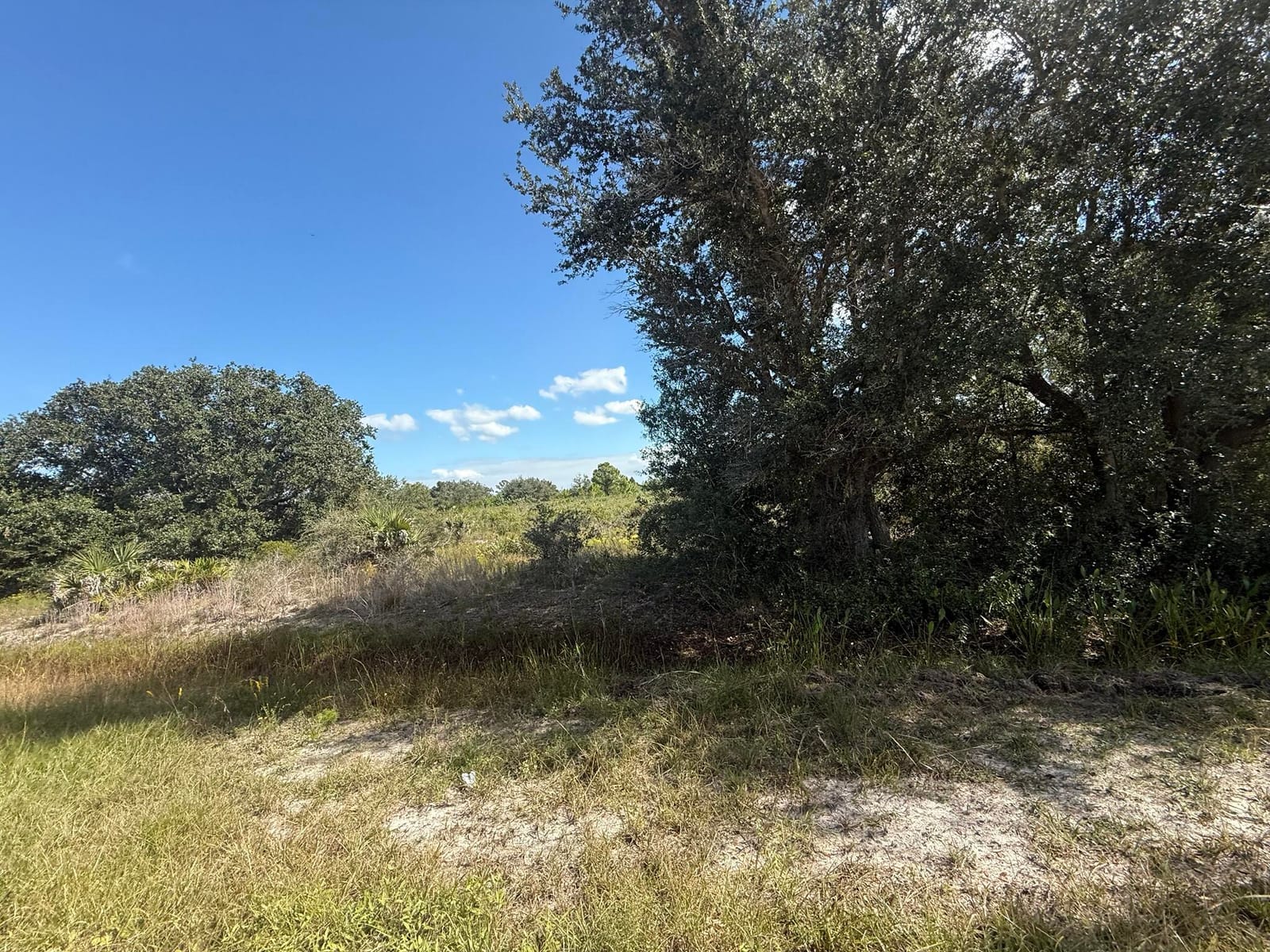 15991 NW 312th Street, Okeechobee, FL 34972 photo 4