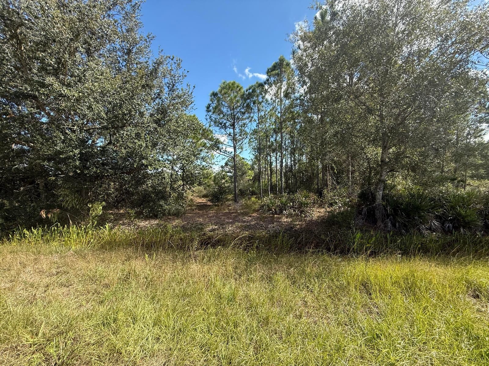 15991 NW 312th Street, Okeechobee, FL 34972 photo 6