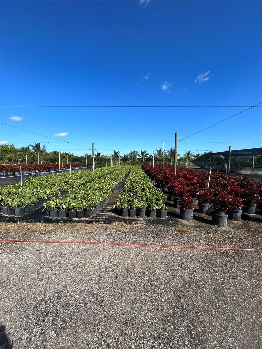 Krome, Homestead, FL 33034 photo 15