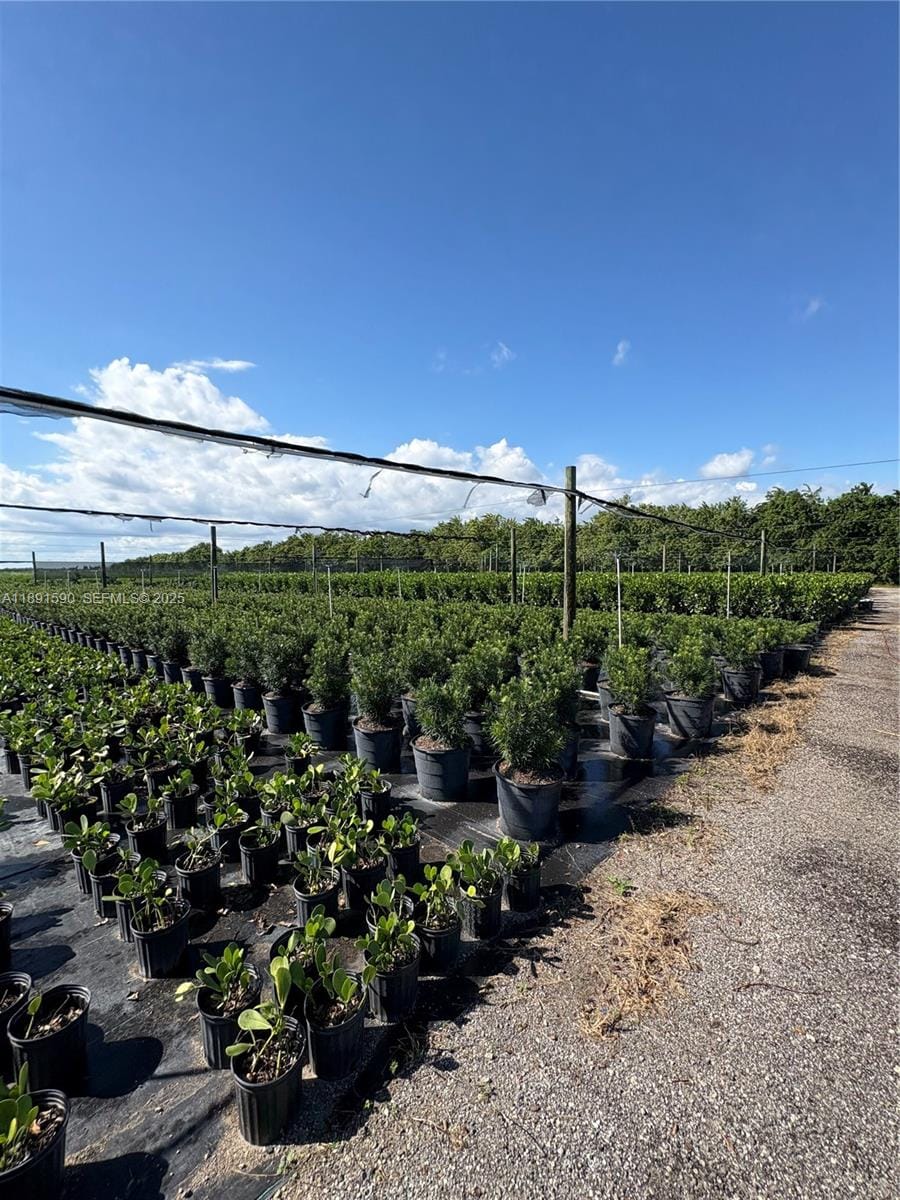 Krome, Homestead, FL 33034 photo 21