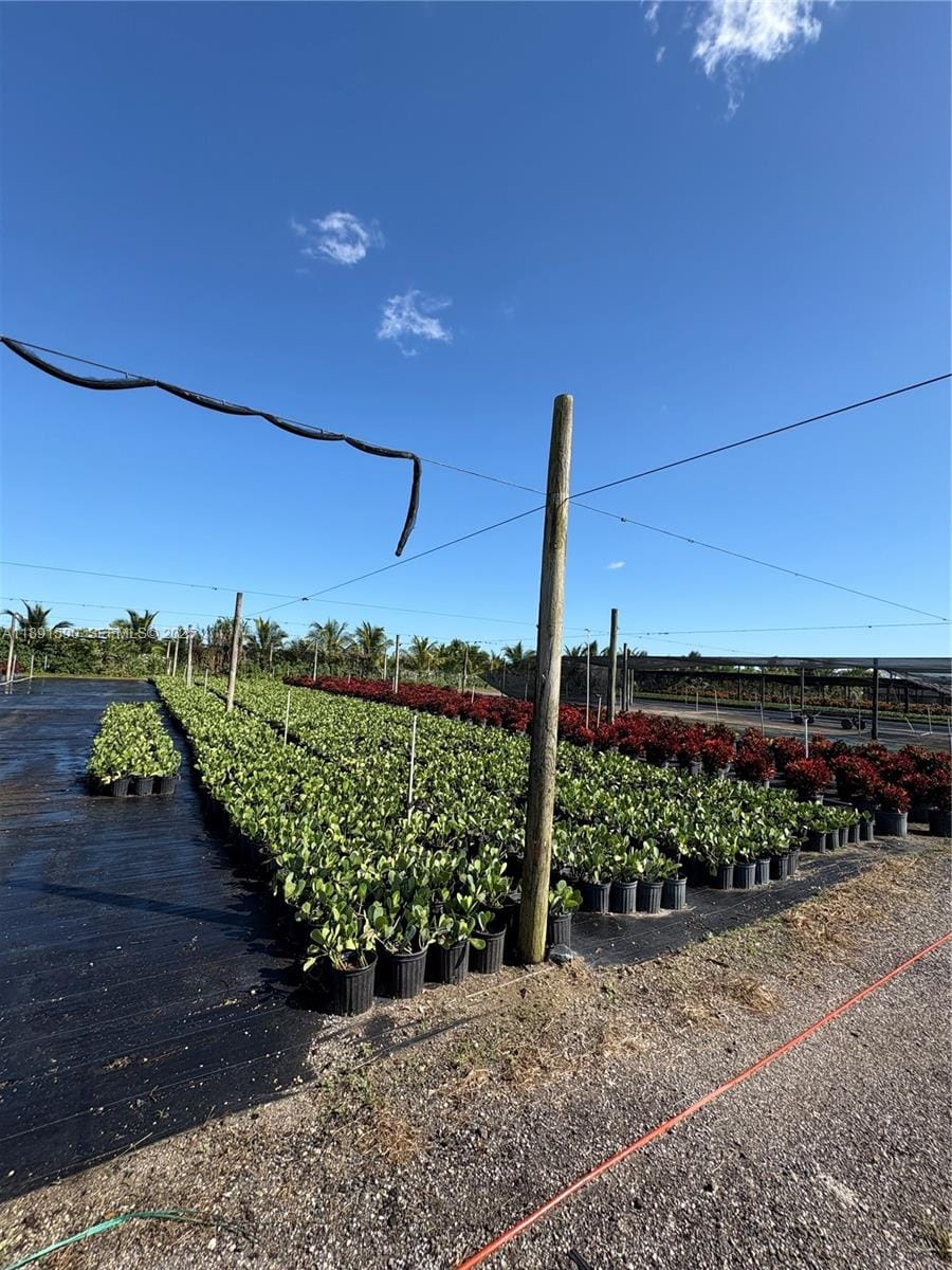 Krome, Homestead, FL 33034 photo 23