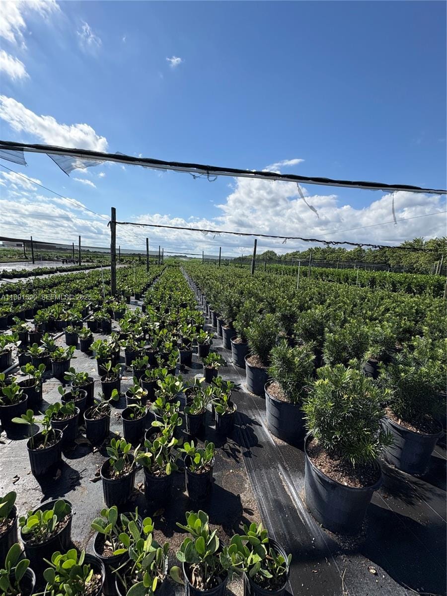 Krome, Homestead, FL 33034 photo 24