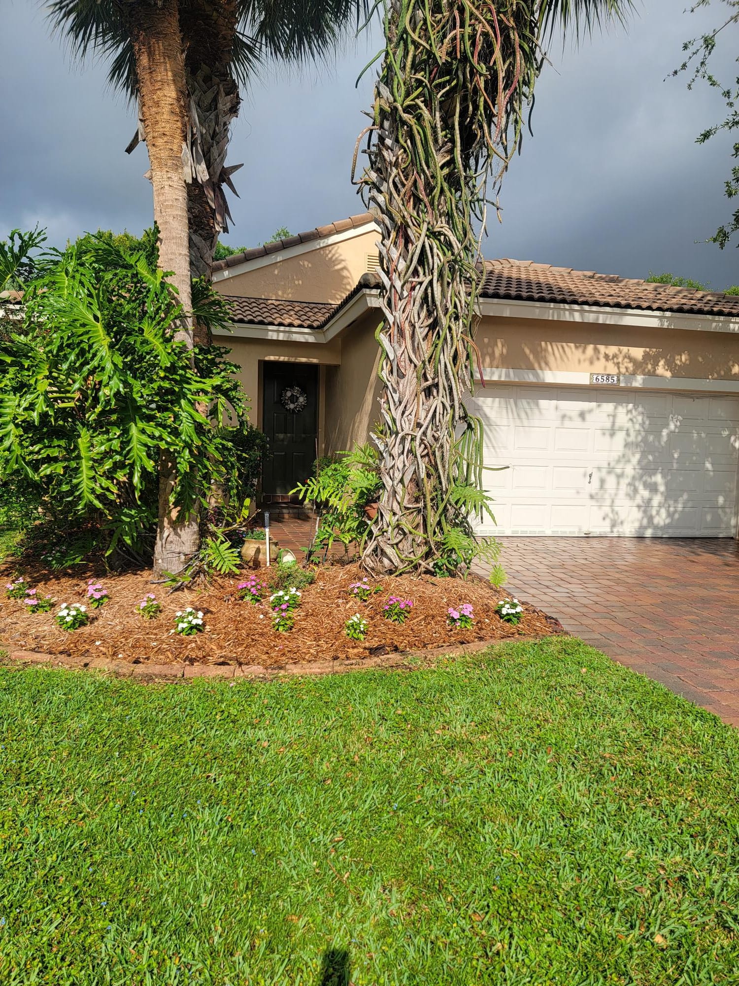 6585 Lurais Drive — photo 2