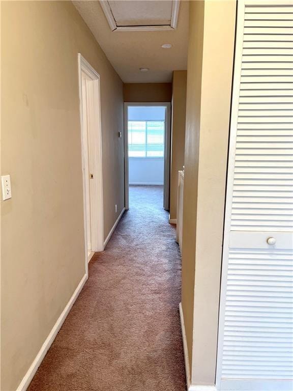 5679 NW 99th Lane, Coral Springs, FL 33076 photo 13