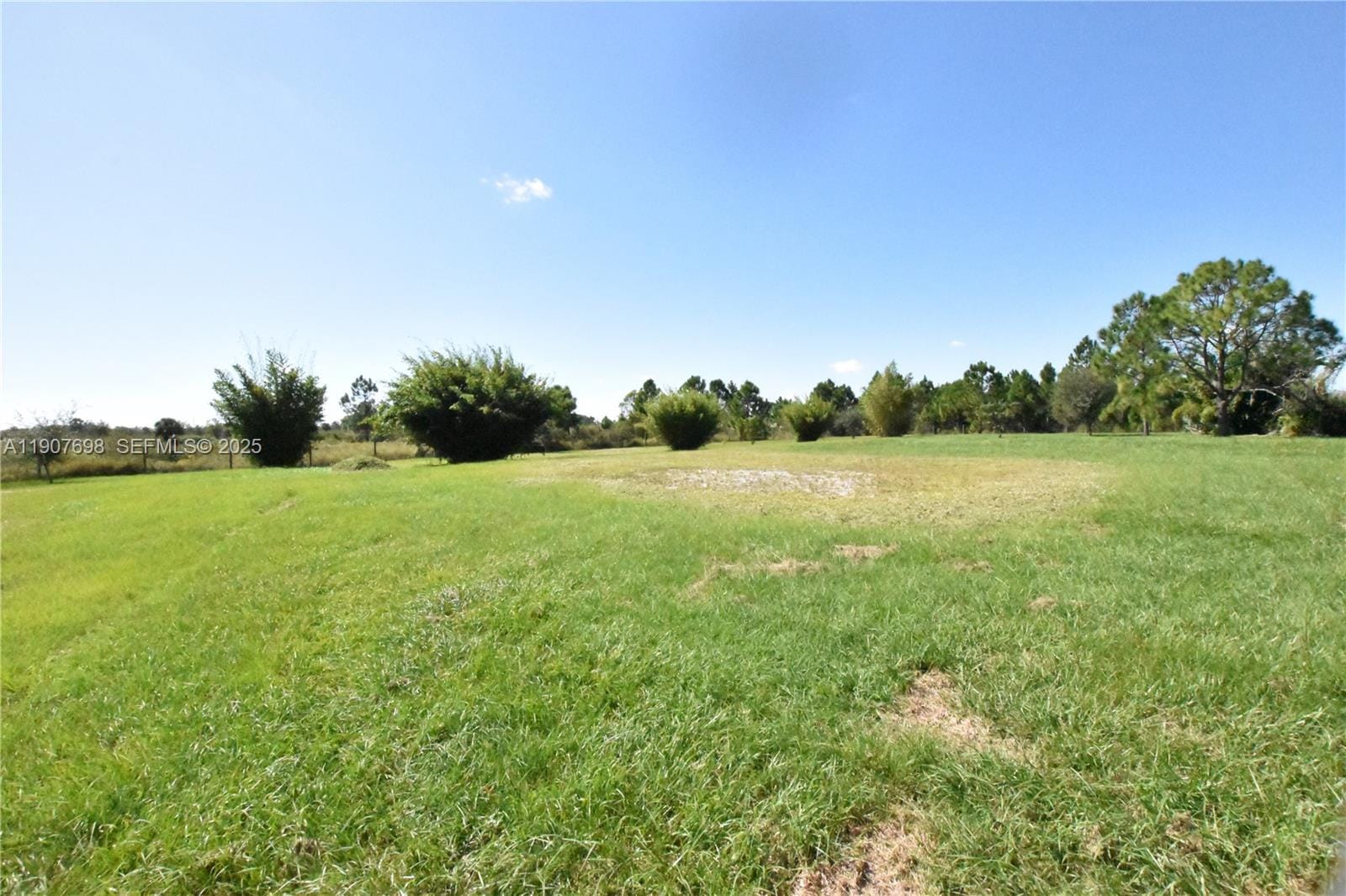 18036 NW 272, Okeechobee, FL 34972 photo 2
