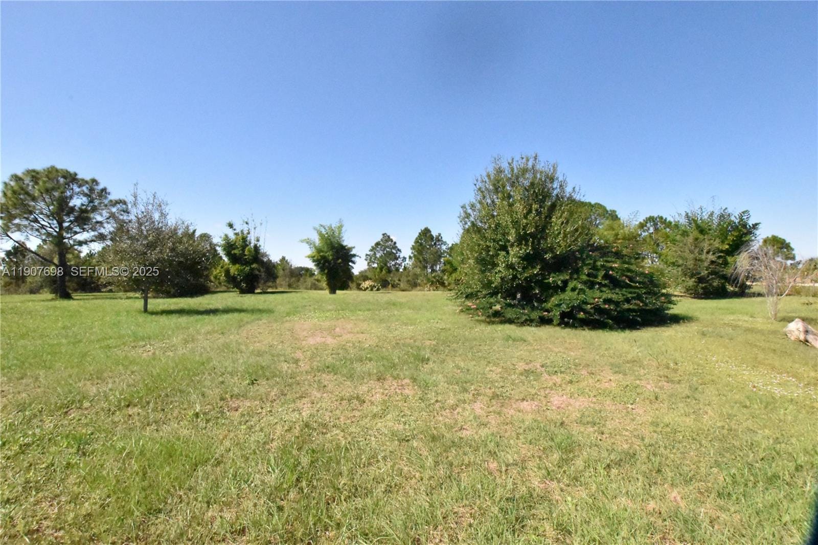 18036 NW 272, Okeechobee, FL 34972 photo 6