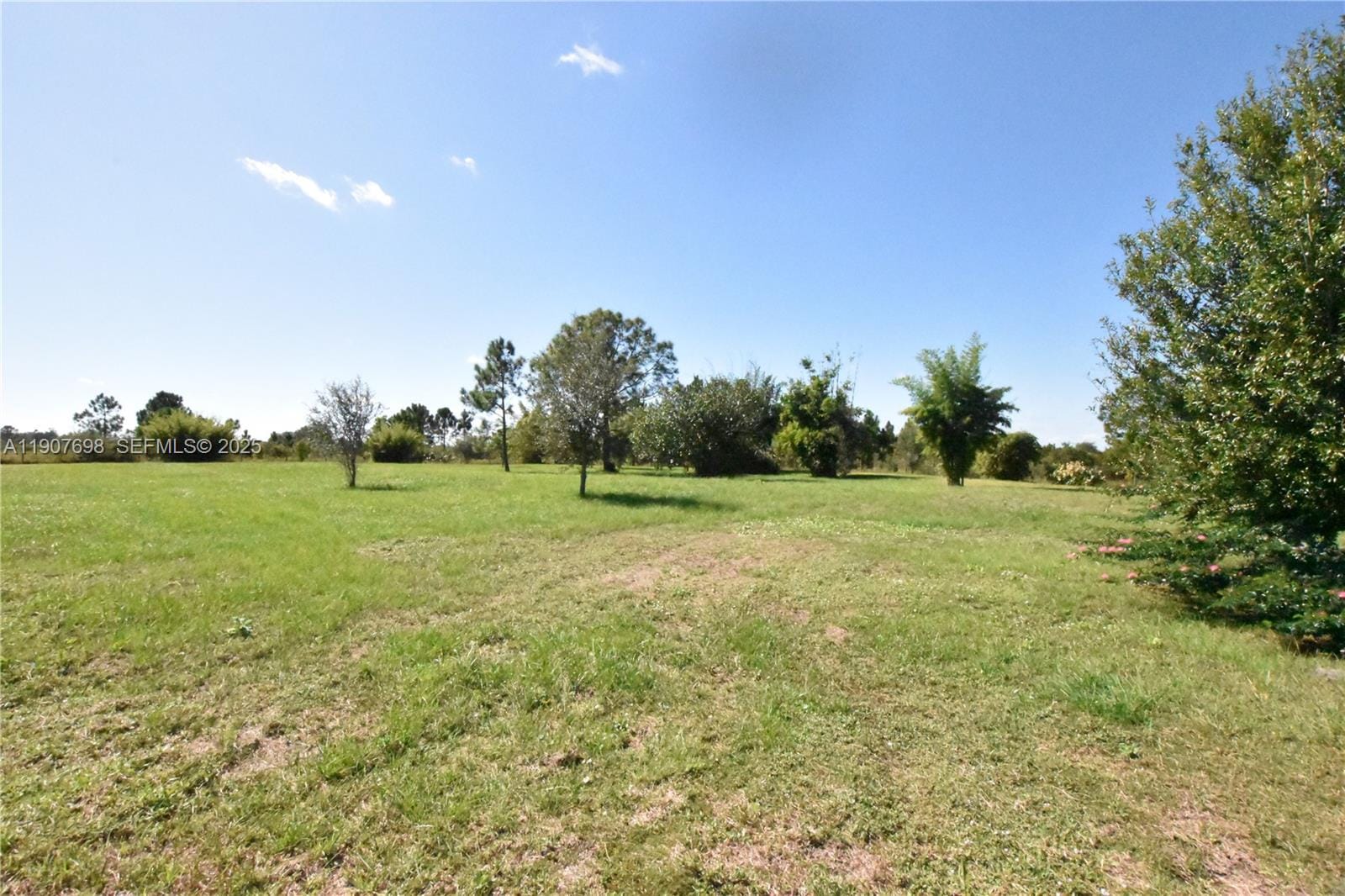 18036 NW 272, Okeechobee, FL 34972 photo 9