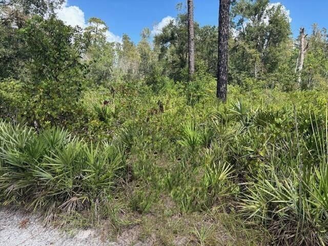 0 County Rd 54 — photo 2