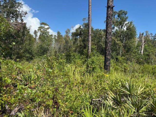 0 County Rd 54, Kathleen, FL 33849, Kathleen