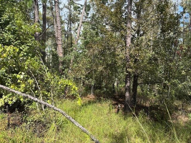 0 County Rd 54, Kathleen, FL 33849, Kathleen