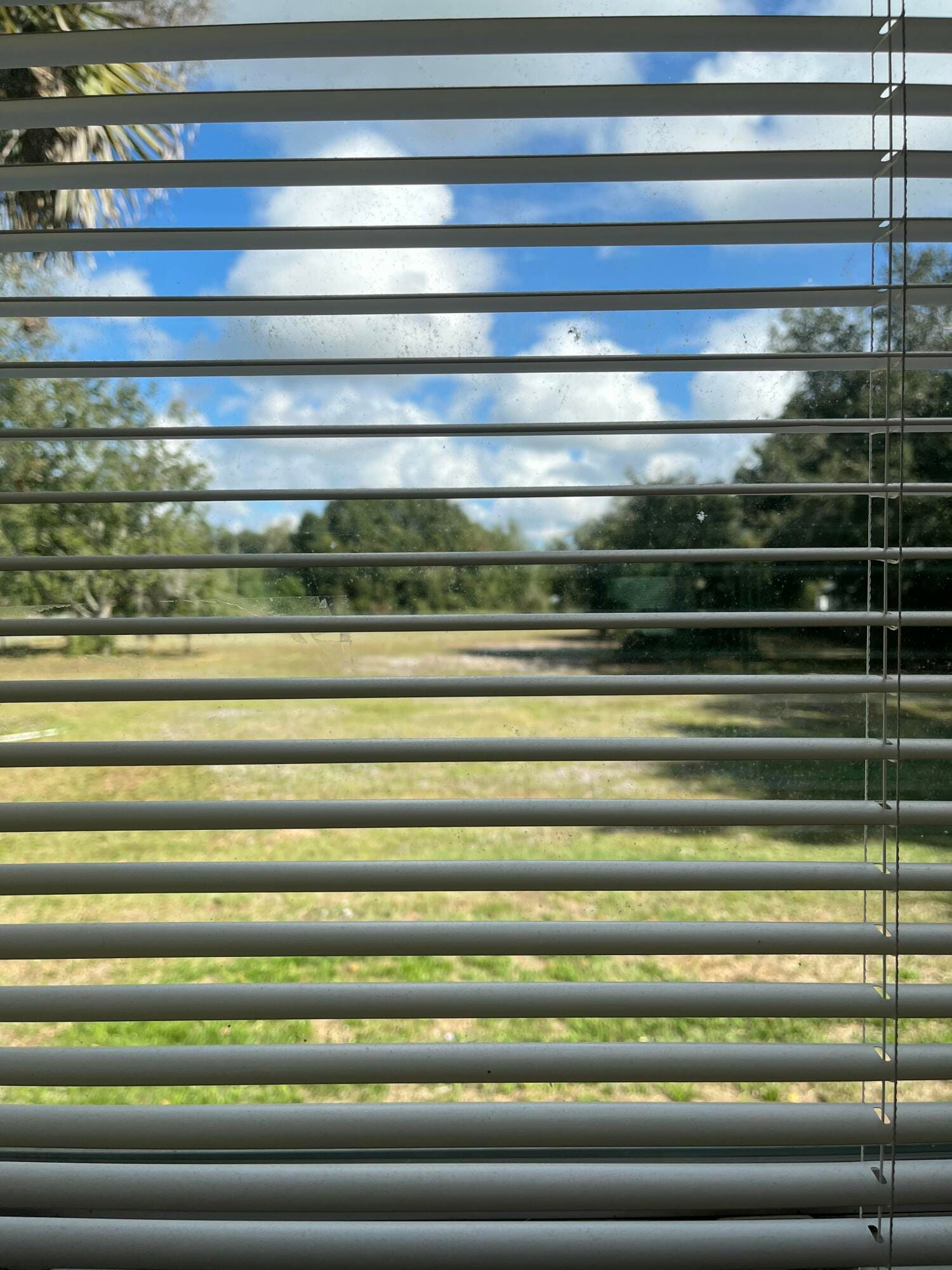 7835 SE 60th Drive, Okeechobee, FL 34974 photo 30