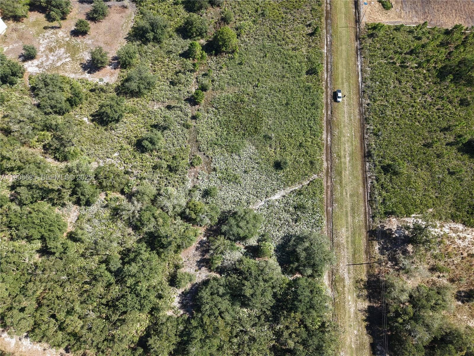 15527 NW 252nd, Okeechobee, FL 34972 photo 11