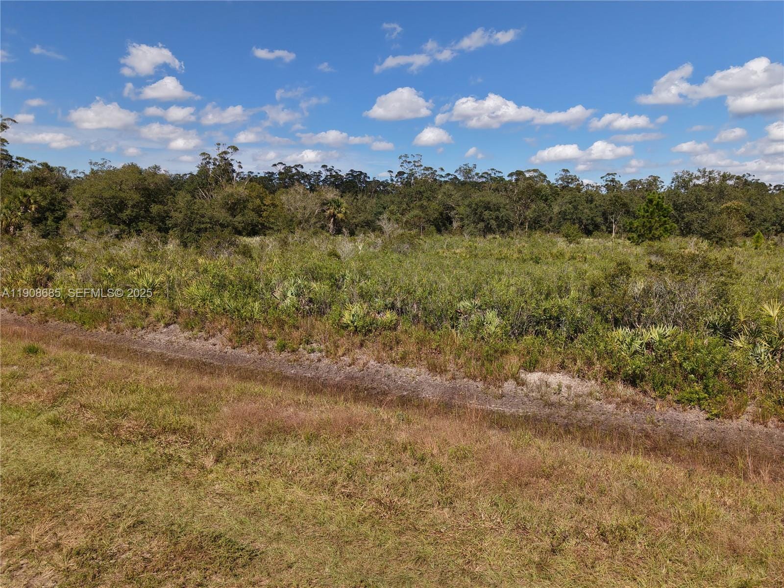 15527 NW 252nd, Okeechobee, FL 34972 photo 27