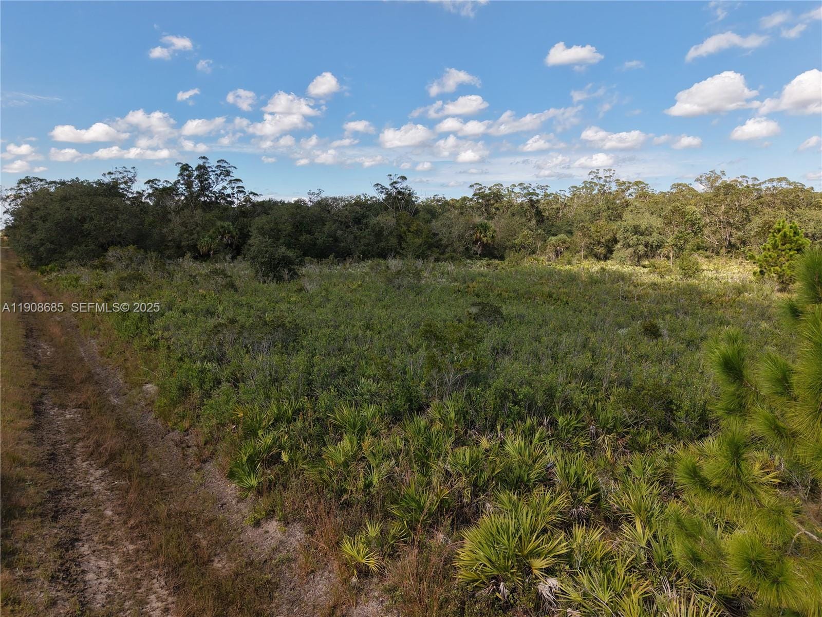 15527 NW 252nd, Okeechobee, FL 34972 photo 29