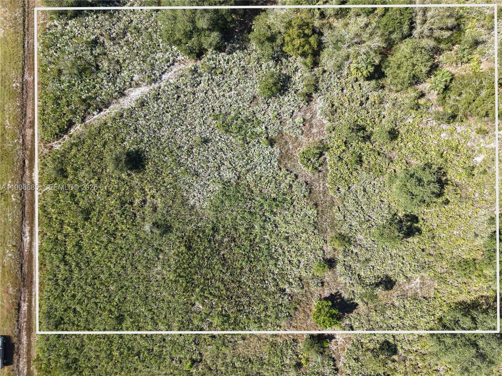 15527 NW 252nd, Okeechobee, FL 34972 photo 30