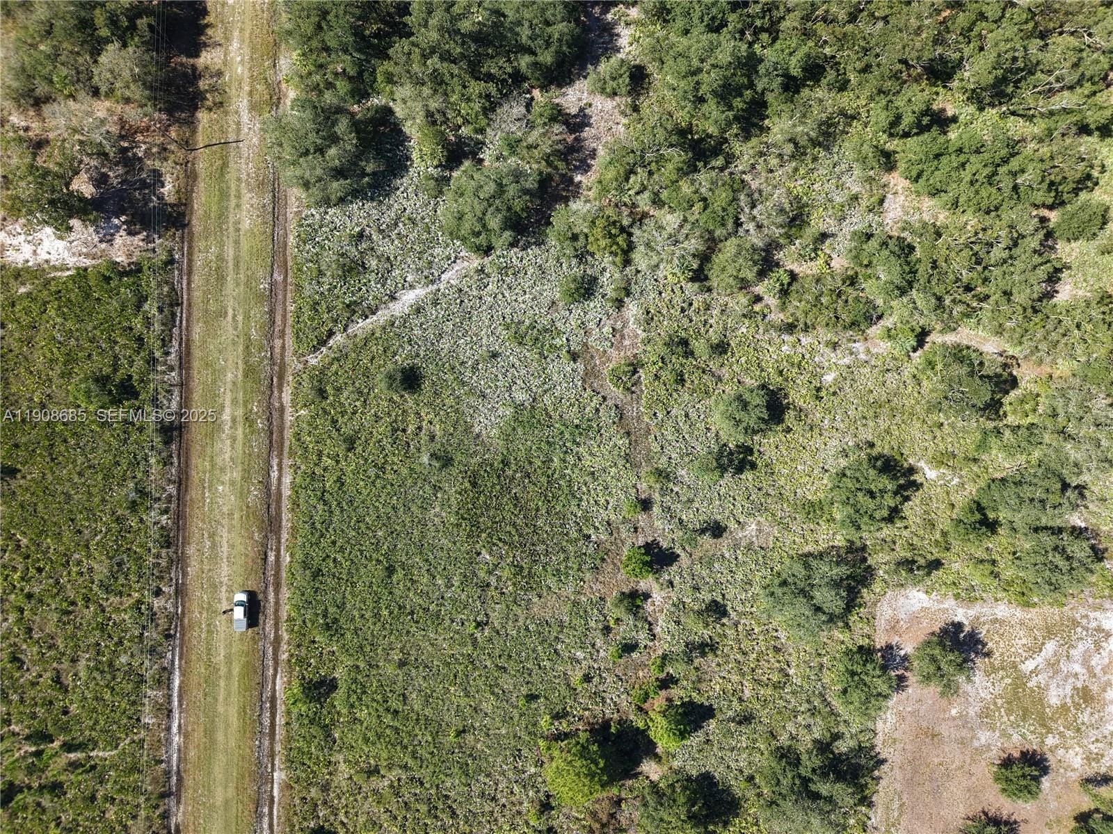 15527 NW 252nd, Okeechobee, FL 34972 photo 4