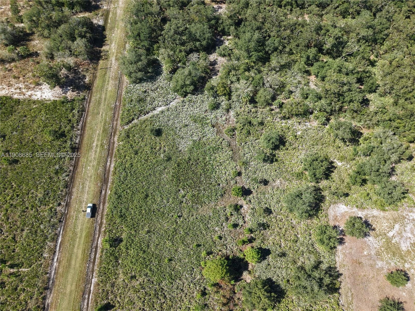 15527 NW 252nd, Okeechobee, FL 34972 photo 5