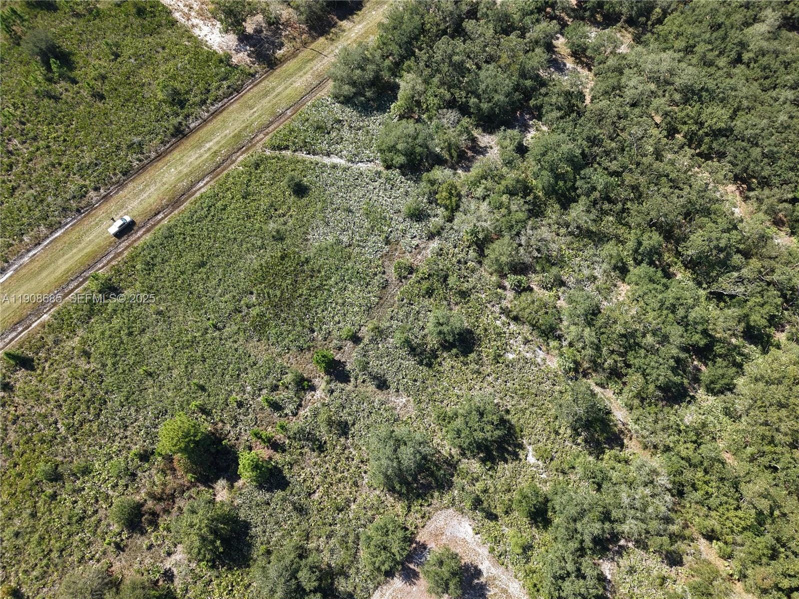 15527 NW 252nd, Okeechobee, FL 34972 photo 6