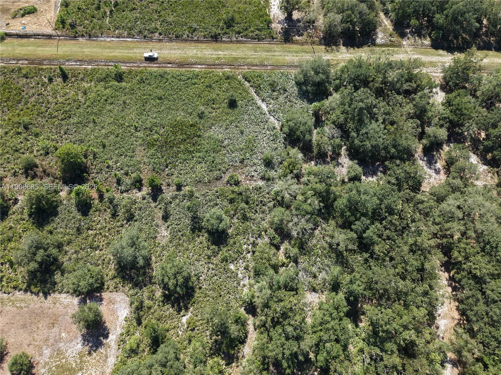 15527 NW 252nd, Okeechobee, FL 34972 photo 8