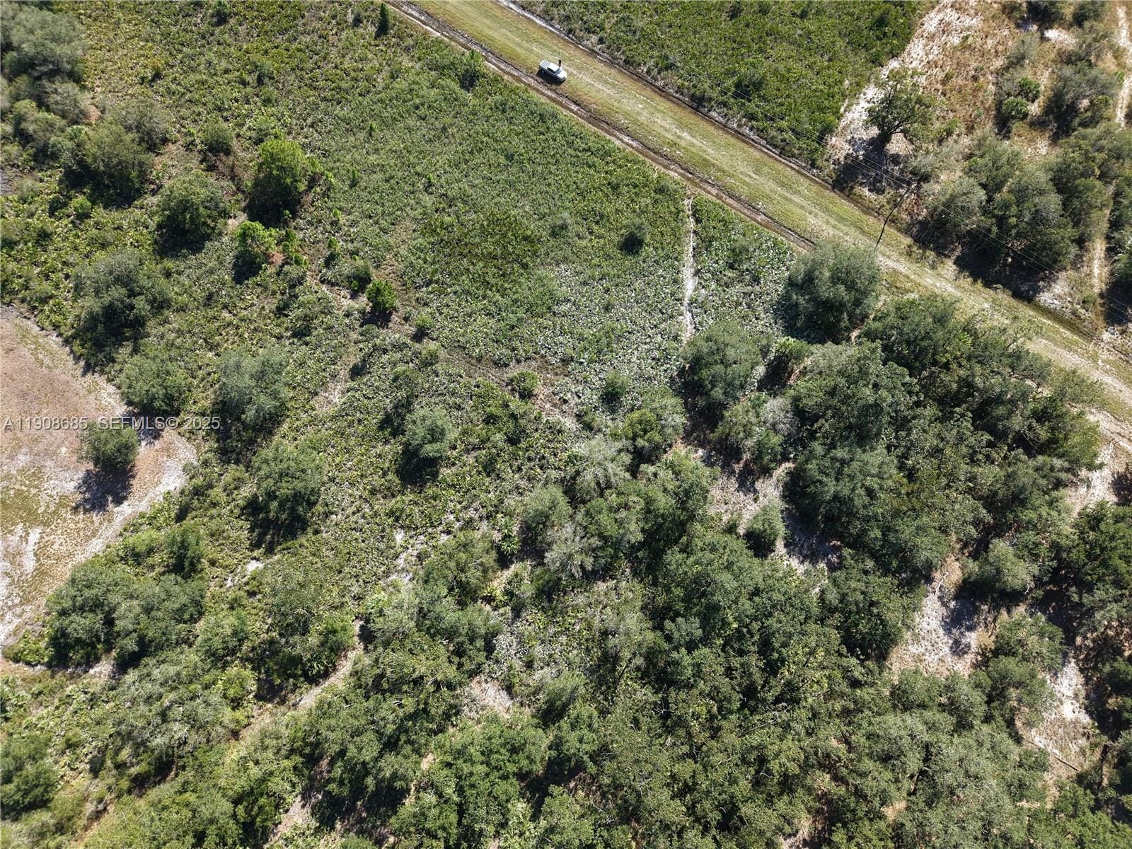 15527 NW 252nd, Okeechobee, FL 34972 photo 9