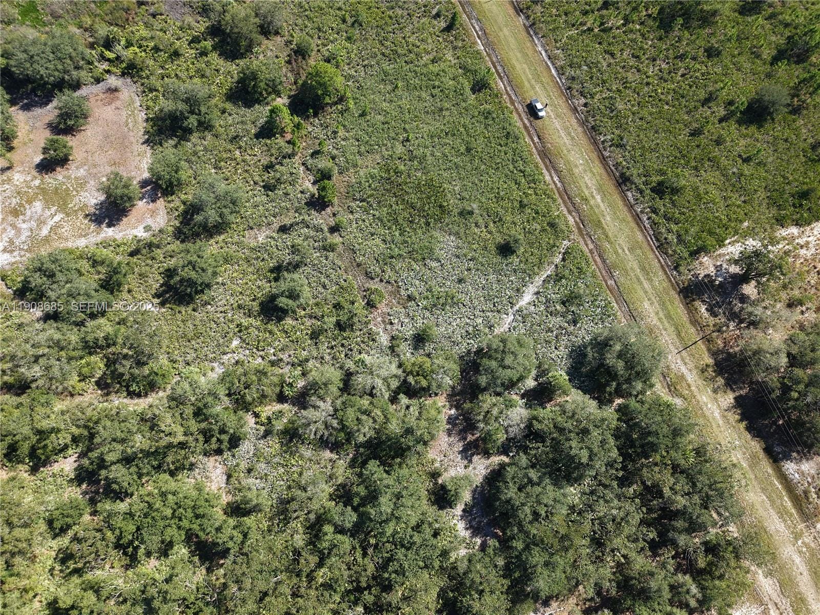 15527 NW 252nd, Okeechobee, FL 34972 photo 10