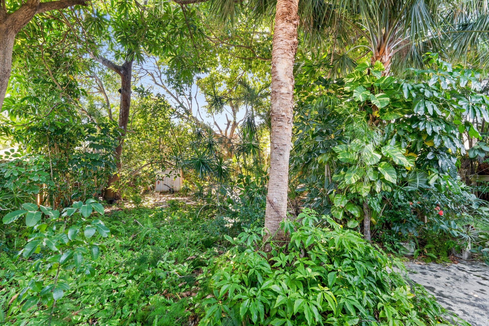 330 Marlborough Place, West Palm Beach, FL 33405 photo 5