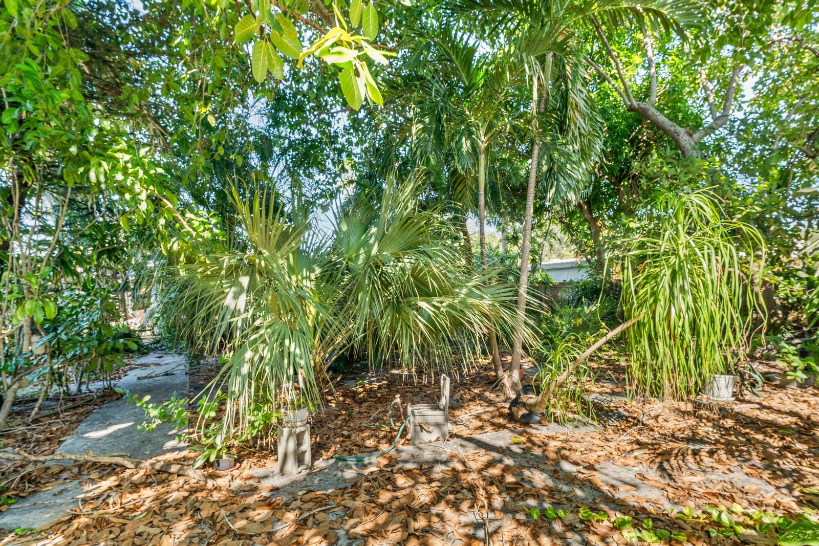330 Marlborough Place, West Palm Beach, FL 33405 photo 7