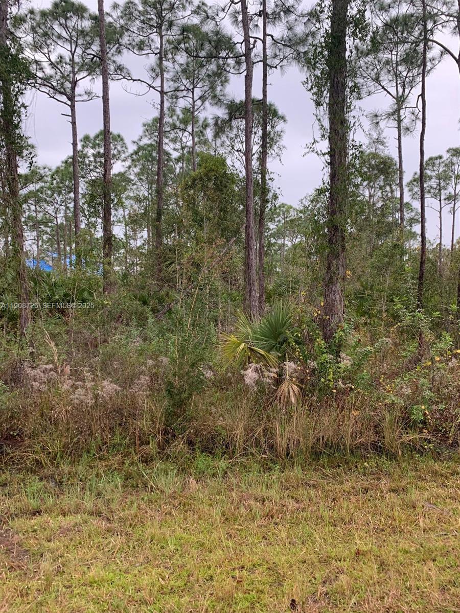 28338 Calais Avenue, Punta Gorda, FL 33955, Punta Gorda